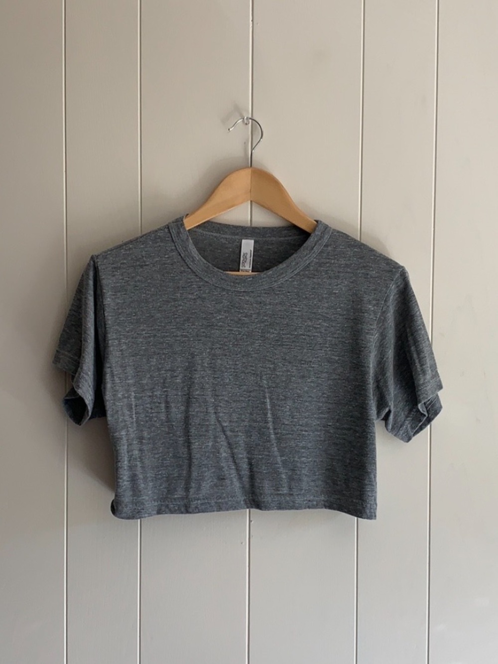 American Apparel Gray Crewneck Crop Top
